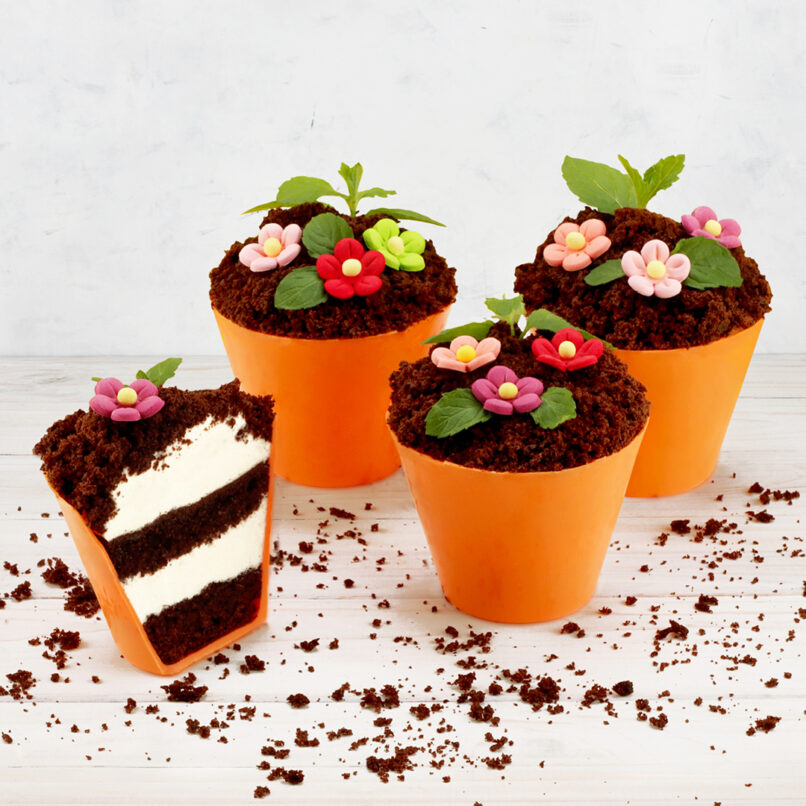 Bunte Blumentöpfchen zum Frühlingsstart