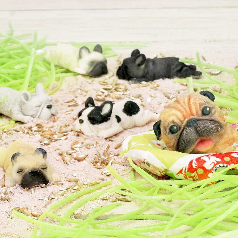 Zuckersüße Fellnasen