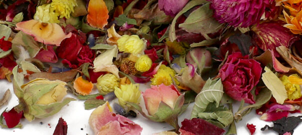 Das Bild zeigt die Bestandteile der Blütenmischung Türkischer Tee.