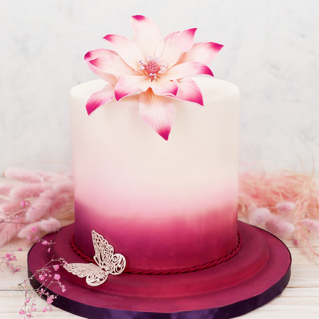Das Bild zeigt eine Torte im Ombre-Effekt